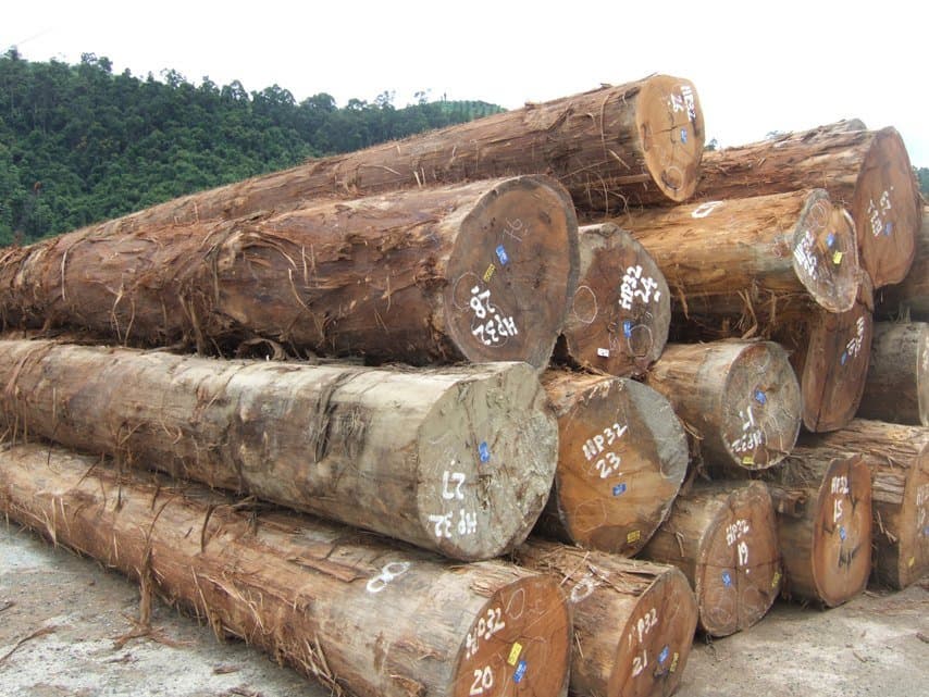 Mahogany_ Tali_ Doussie Round Logs for sale